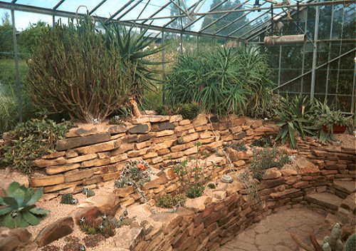 Durham University Botanic Garden Cactus and Succulent House