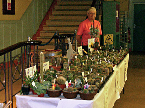 Hartlepool Horticultural Show (2006)