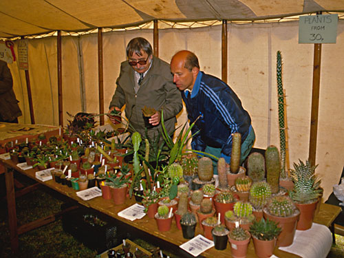 Plant sale in Middlesbrough (1988)