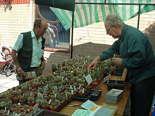 Saltburn Charities Fair (2005)